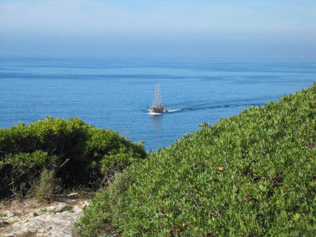 gal/Roy_Allen/Carvoeiro/Sailing ship.jpg
